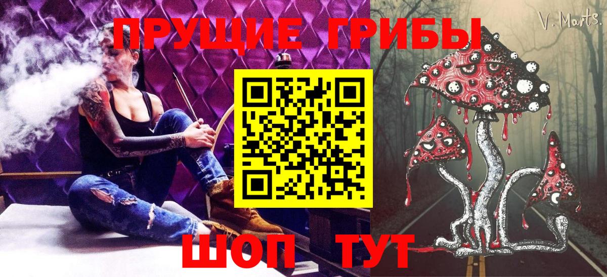 Тамбов  Псилоцибиновые грибы MAGIC MUSHROOMS  Псилоцибиновые грибы GOLDEN TEACHER  Вход с VPN 